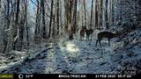 00 Hendren Road - Photo 14