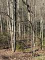 Lot# 130 Terra Vista Drive - Photo 12