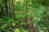 Lot# 130 Terra Vista Drive - Photo 18