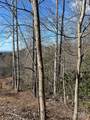 Lot# 130 Terra Vista Drive - Photo 3