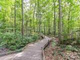 105 Beech Bluff Drive - Photo 48