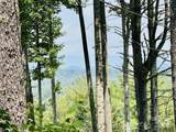 27 acres, 2058 Thoroughbred Way - Photo 3