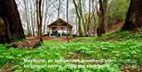 27 acres, 2058 Thoroughbred Way - Photo 30