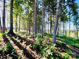27 acres, 2058 Thoroughbred Way - Photo 4