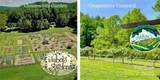 27 acres, 2058 Thoroughbred Way - Photo 40