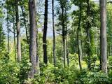 27 acres, 2058 Thoroughbred Way - Photo 8