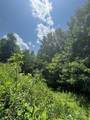 000 Mountain Lookout Drive - Photo 4