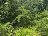 000 Mountain Lookout Drive - Photo 5