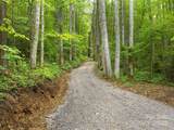23 Forbidden Cove - Photo 2