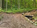 23 Forbidden Cove - Photo 5