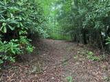 TBD Blueberry Trail - Photo 1