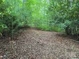 TBD Blueberry Trail - Photo 3
