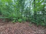 TBD Blueberry Trail - Photo 4