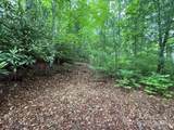 TBD Blueberry Trail - Photo 5