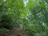 TBD Blueberry Trail - Photo 6