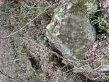 0 English Setter Trail - Photo 2