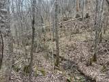 0 English Setter Trail - Photo 3