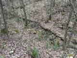 0 English Setter Trail - Photo 4