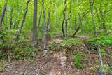 00 Skyline Drive - Photo 8