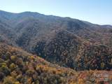 3689 Plott Balsam Road - Photo 22