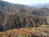 3689 Plott Balsam Road - Photo 25