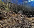 3689 Plott Balsam Road - Photo 4