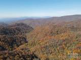 3689 Plott Balsam Road - Photo 10