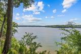 13712 Sage Thrasher Lane - Photo 8
