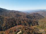 3837 & 3689 Plott Balsam Road - Photo 14