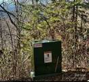 3837 & 3689 Plott Balsam Road - Photo 5