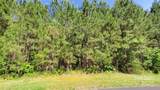0000 Loblolly Lane - Photo 14