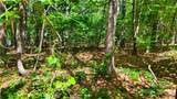0000 Loblolly Lane - Photo 6