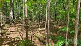 0000 Loblolly Lane - Photo 7