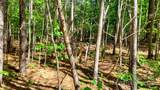 0000 Loblolly Lane - Photo 9