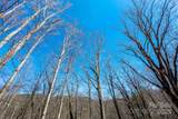 Lot# 158 Hunnicut Mountain Road - Photo 12