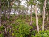 000 East Garden Trail - Photo 5