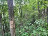 200 Sweet Birch Lane - Photo 10