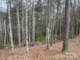 2035 Lower Tuskeegee Road - Photo 2