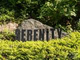 151 Serenity Ridge Trail - Photo 15