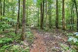 6 Hager Mountain Lane - Photo 11