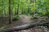 6 Hager Mountain Lane - Photo 13