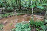 6 Hager Mountain Lane - Photo 19