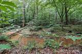 6 Hager Mountain Lane - Photo 21