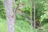 459 Old Yellow Mountain Road - Photo 25