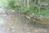 459 Old Yellow Mountain Road - Photo 26