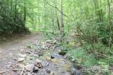 459 Old Yellow Mountain Road - Photo 28