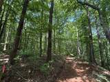 Lot 13 Rhododendron Drive - Photo 5