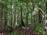 Lot 13 Rhododendron Drive - Photo 6