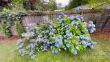 22 King Arthur Place - Photo 43