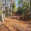 7902 Cat Trail - Photo 4